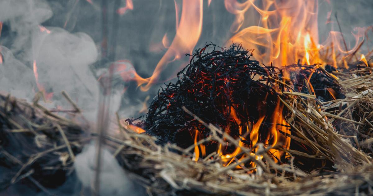 How to reduce wildfire risk this spring