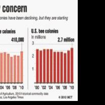 Pollinator decline | National/World | keenesentinel.com