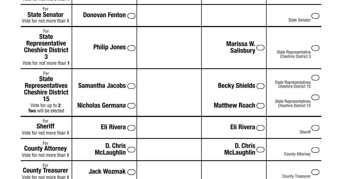 2026 Keene Ward 5 sample ballot | | keenesentinel.com