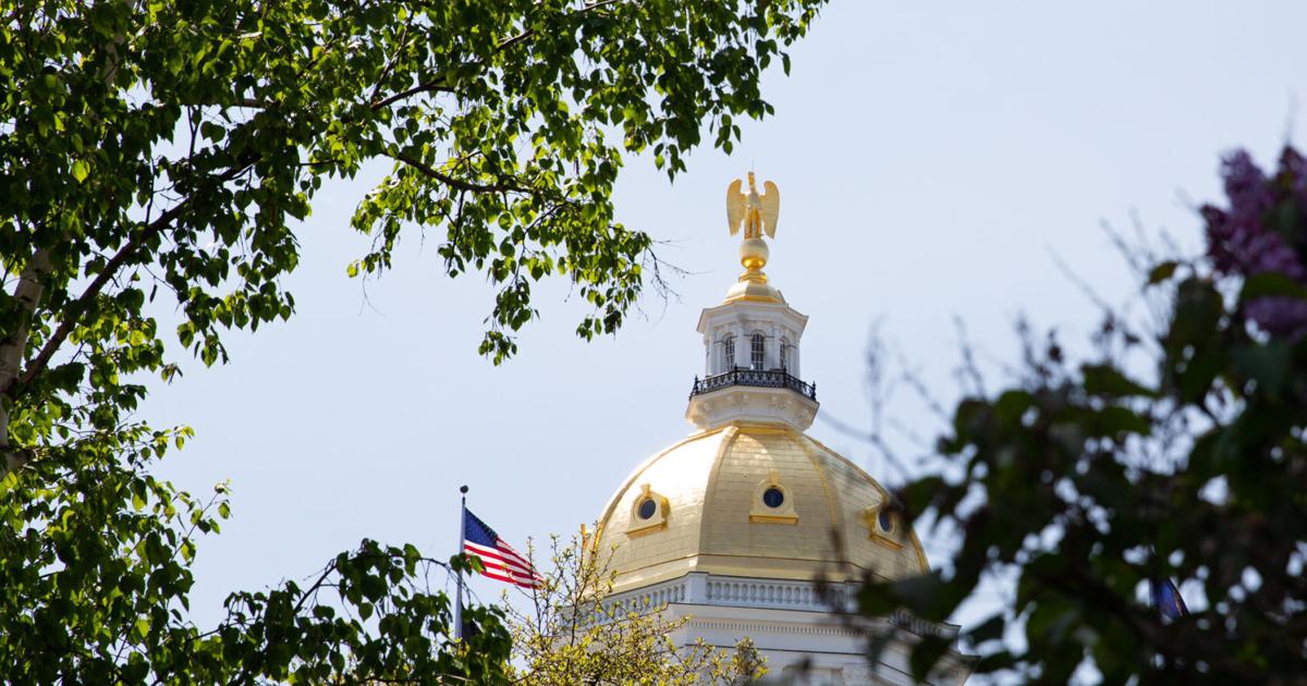 photo of NH bill to restrict use of bee-killing neonic insecticides image