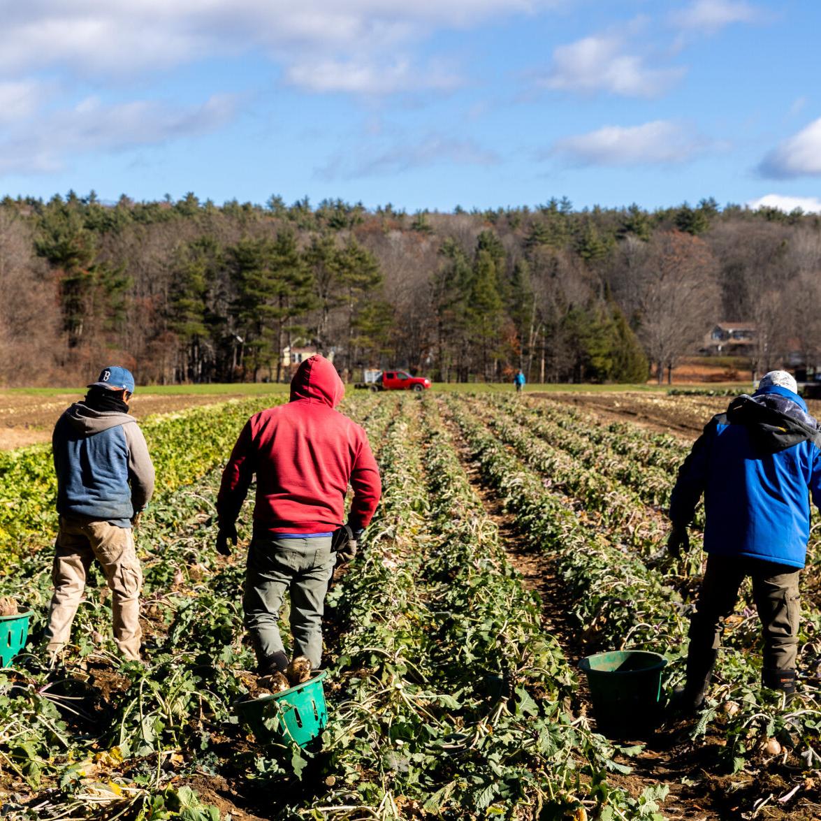 Farms weather collision of natural, economic forces | Local News |  keenesentinel.com, image size:1175x1175