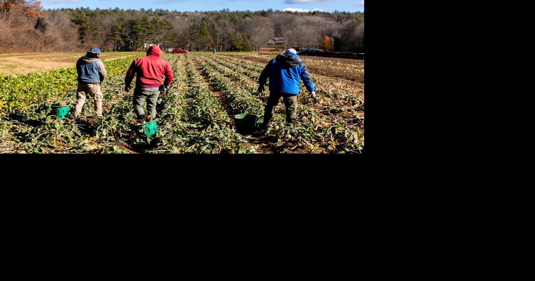 NH farmers weather natural, political forces