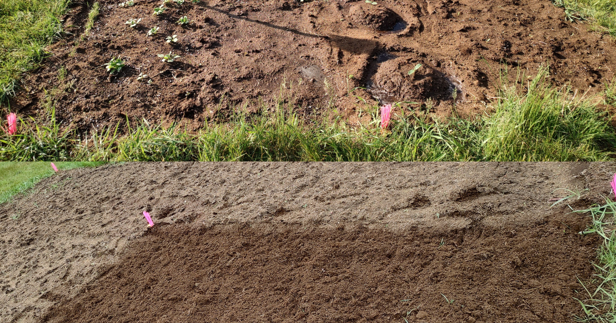 Rooted: Finding a place to garden in Keene