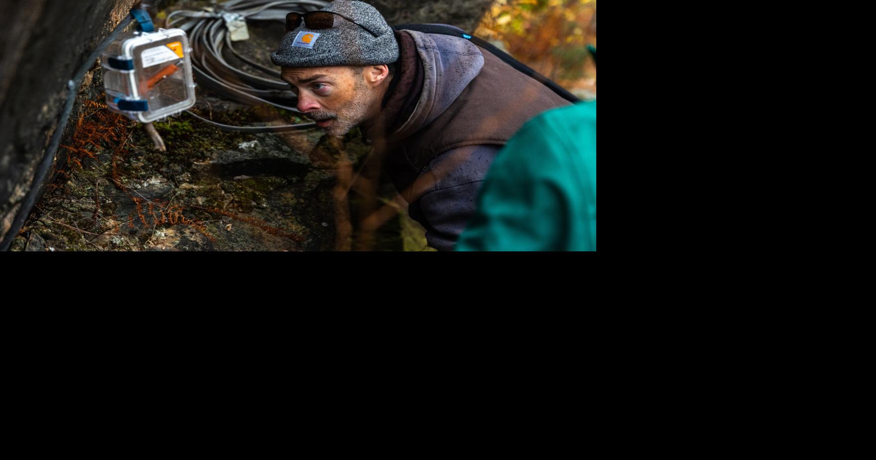 Meet Jacques Veilleux, Rindge's real-life 'bat man'