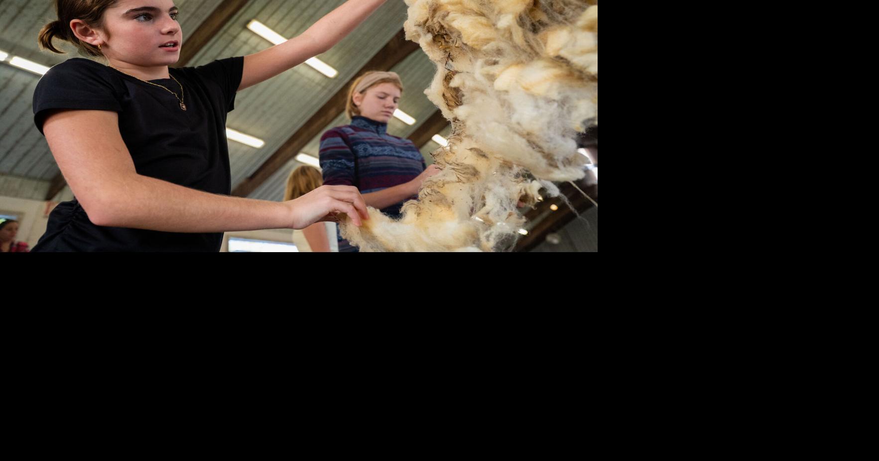 Wool washers