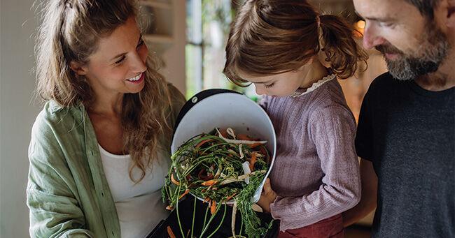 Sustainable Practices Transform Annual Spring Cleaning Rituals