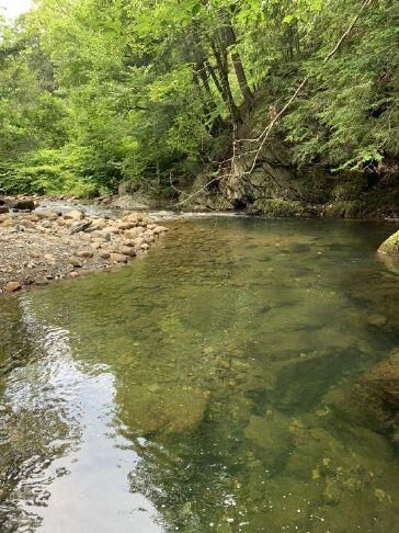 Fort Dummer State Park: The Sunrise, Sunset and Broad Brook Trails ...