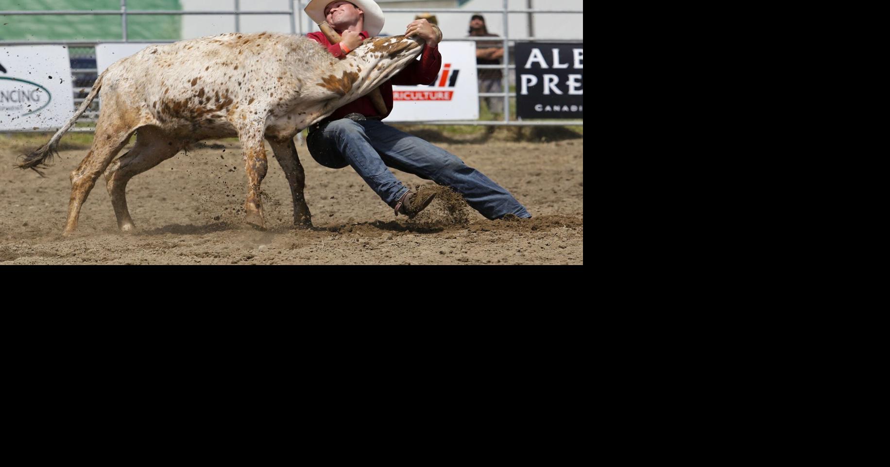 Alvinston rodeo back in the saddle for Father's Day weekend | Local ...