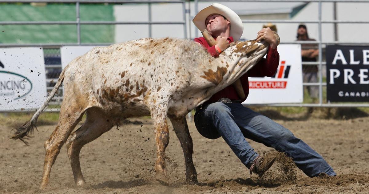 Alvinston Rodeo Alvinston rodeo back in the saddle for Father's Day weekend | Local ...