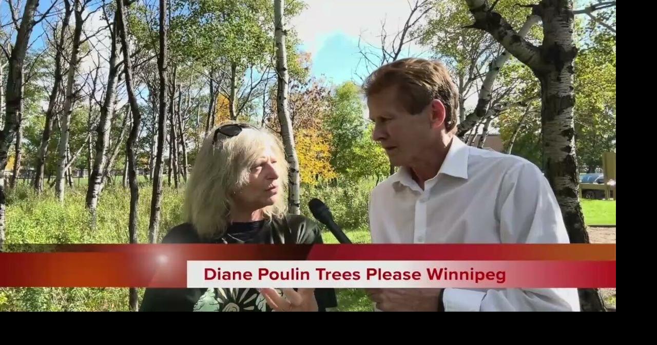 Tree group asks Winnipeg candidates to sign canopy pledge | Winnipeg ...