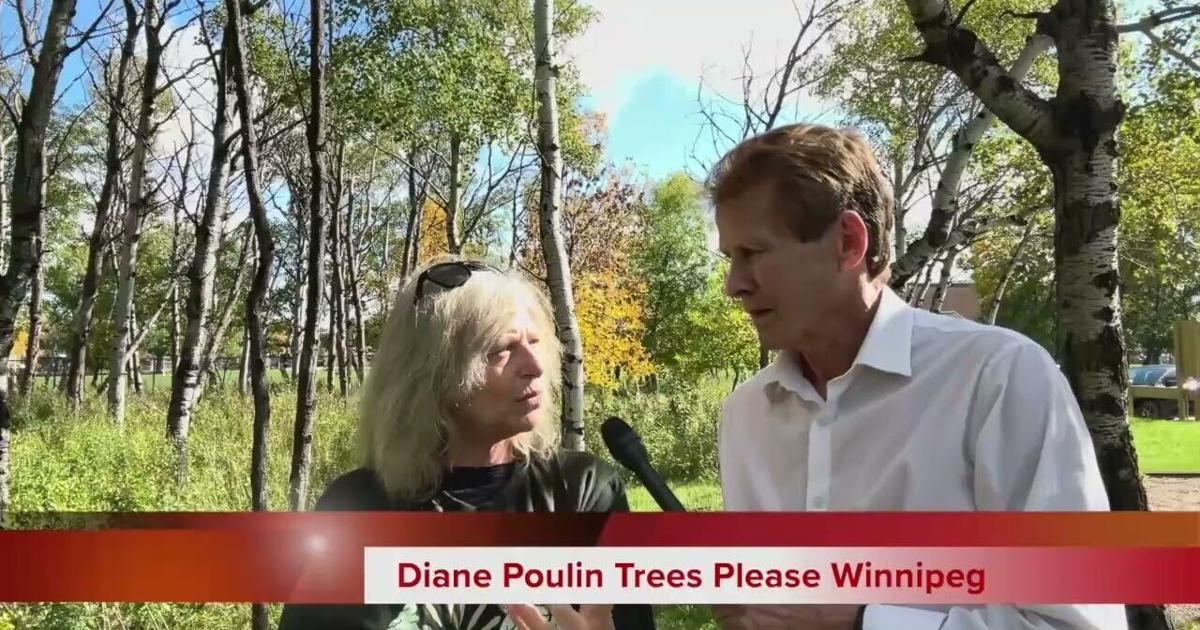 Rand Tree Tree group asks Winnipeg candidates to sign canopy pledge | Winnipeg ...
