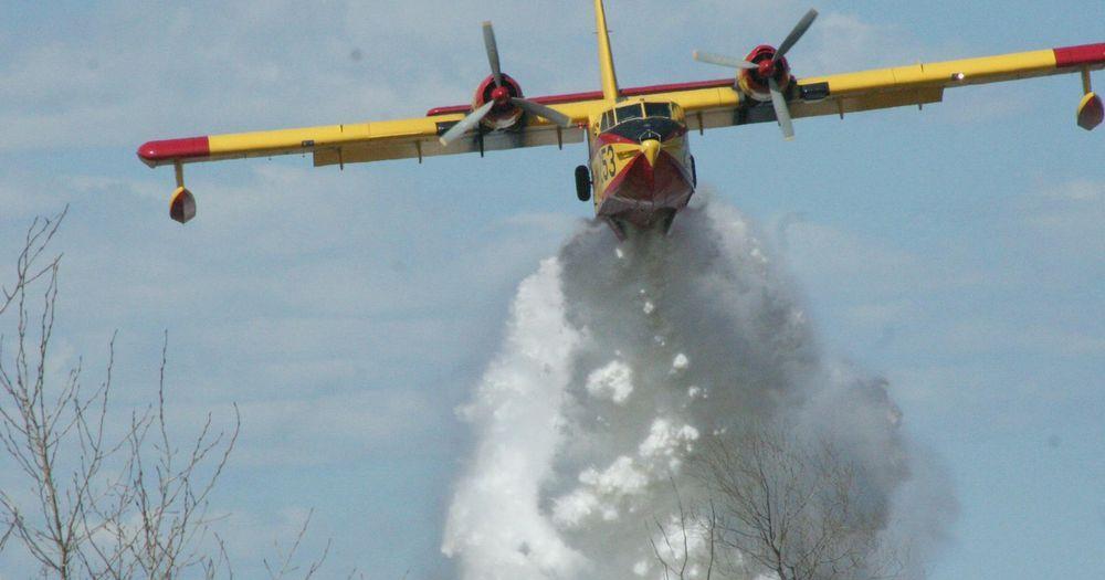 Year's fires may be worst on record
