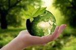 INSIDE POLITICS: Canada's green agenda is collapsing fast