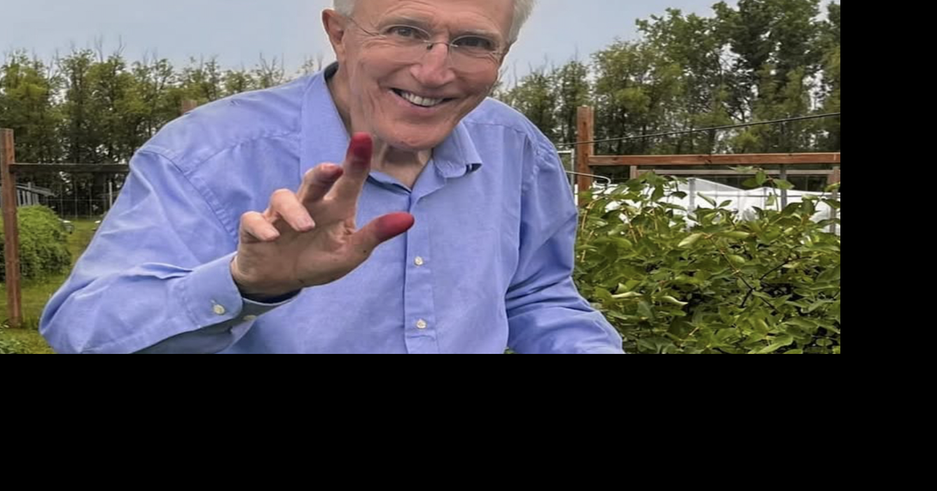 HAL'S KITCHEN: Purple fingers means it’s haskap harvest time