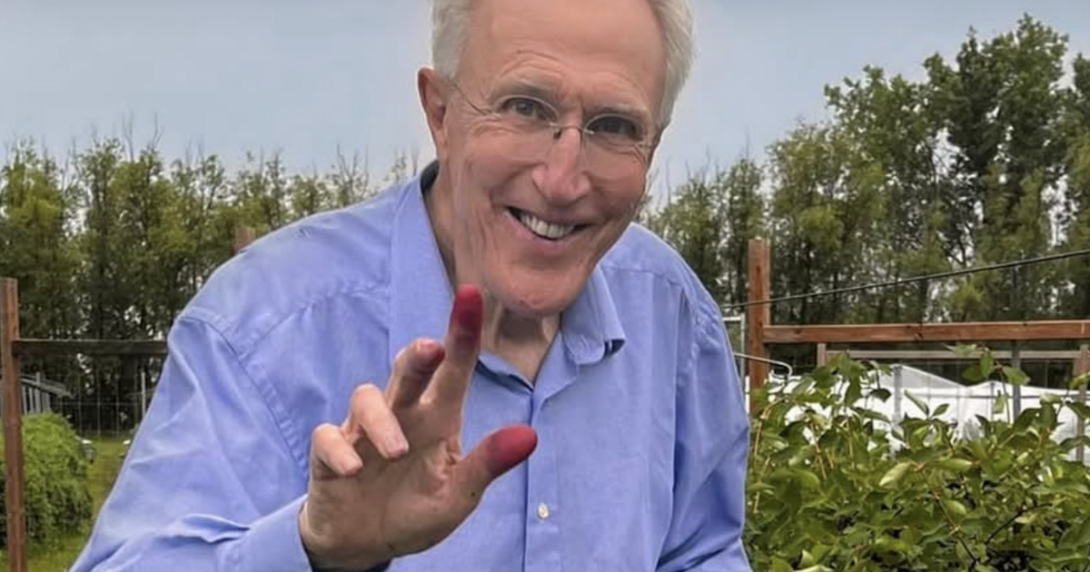 HAL'S KITCHEN: Purple fingers means it’s haskap harvest time