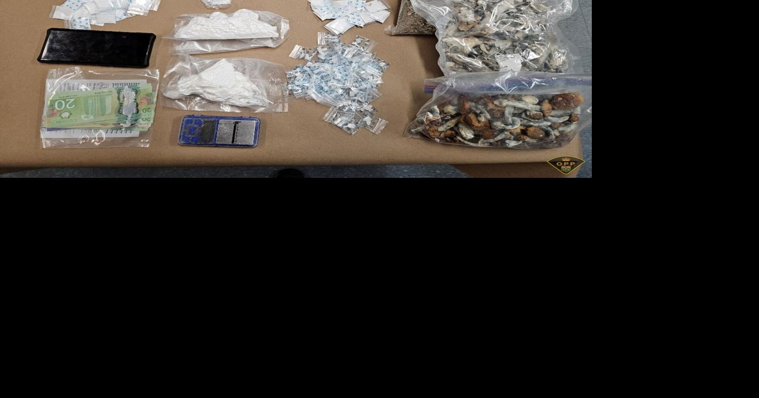 Cocaine, crack and illegal mushrooms seized following drug trafficking ...