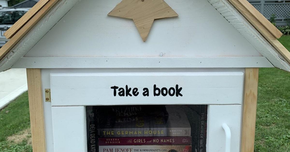 Little Library Baltimore Thamesford woman installs community 'little library' | Local News ...