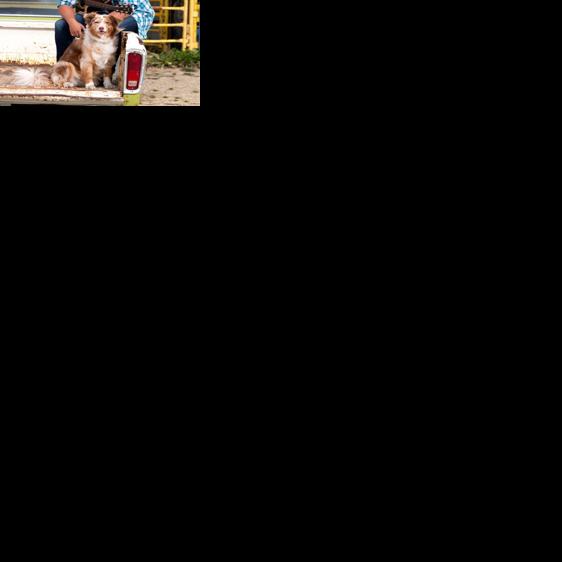 Local country singer selected for People's Choice Award | Local News ...