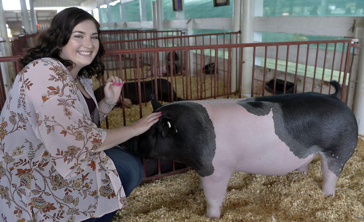 Fair Grand Champion Market Hog