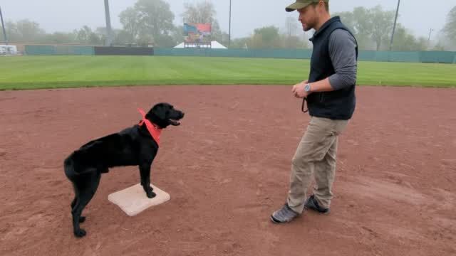 K-Town Bobbers Aim to Catch Simmons Field Faithful in 2020 - Kenosha  Kingfish