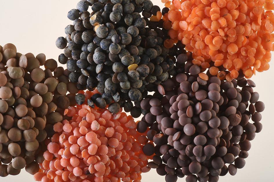 For the love of lentils: The little pulse that packs a punch
