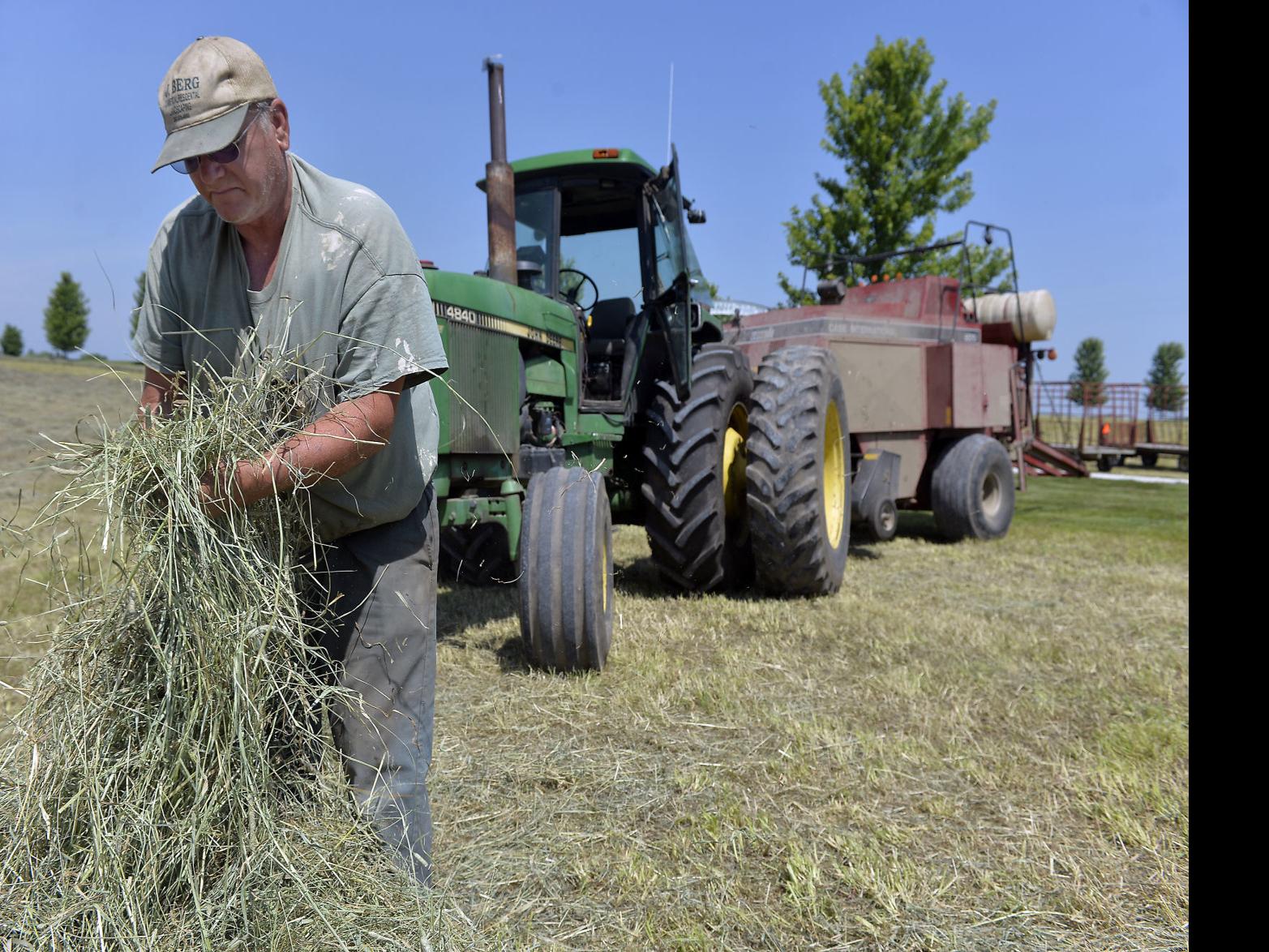 A Welcome String Of Sunny Days Sends Farmers To The Fields To Make Hay Local News Kenoshanews Com