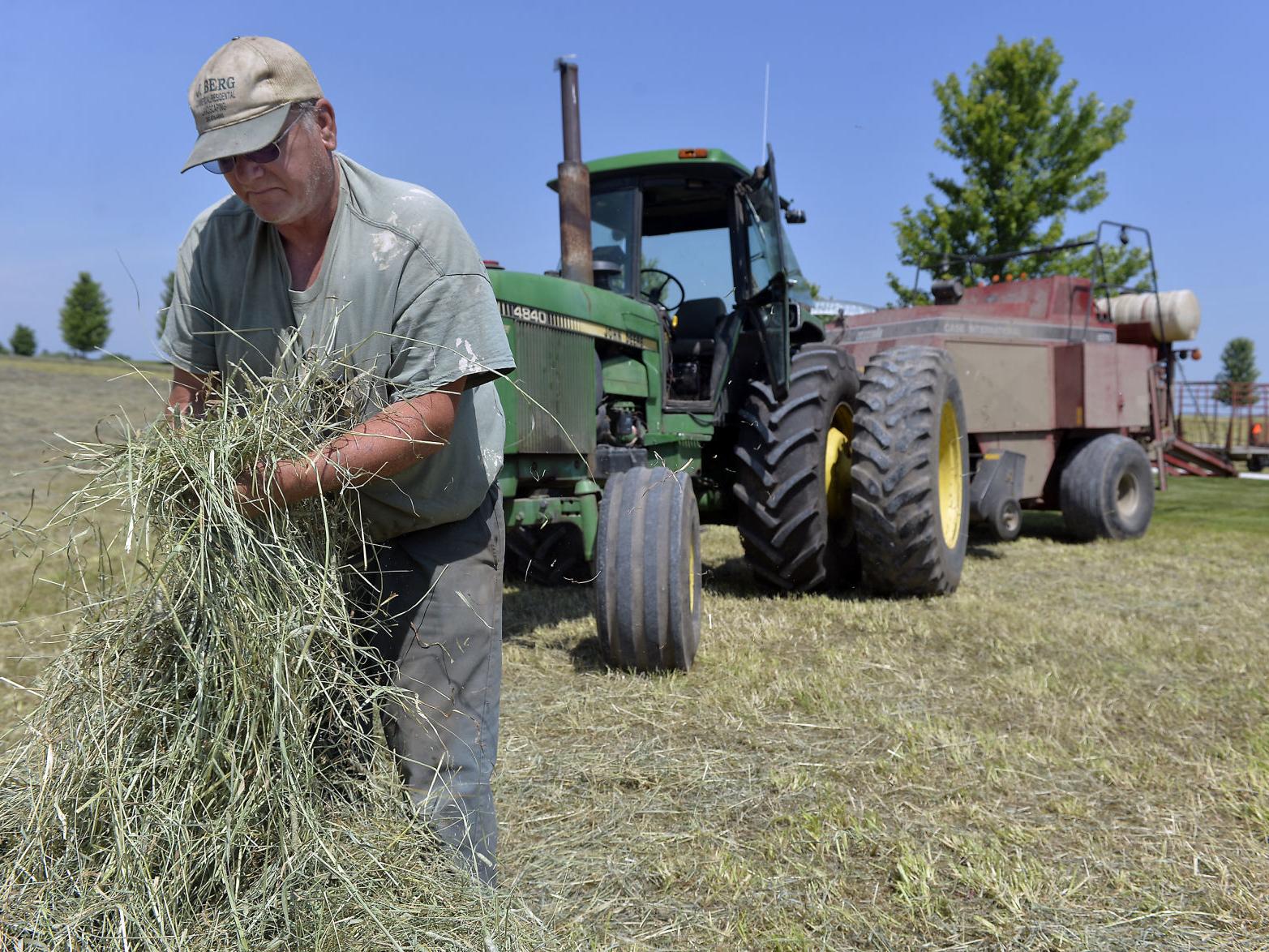 A Welcome String Of Sunny Days Sends Farmers To The Fields To Make Hay Local News Kenoshanews Com A Welcome String Of Sunny Days Sends Farmers To The Fields To Make Hay Local News Kenoshanews Com