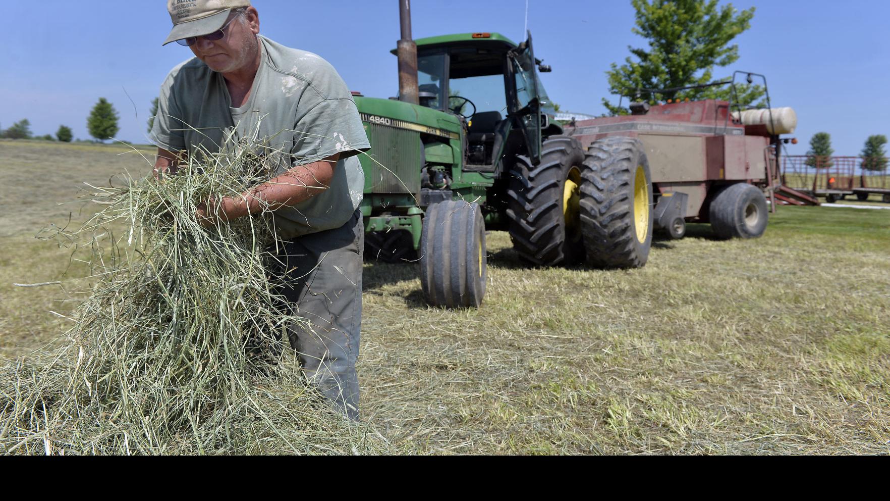 A Welcome String Of Sunny Days Sends Farmers To The Fields To Make Hay Local News Kenoshanews Com