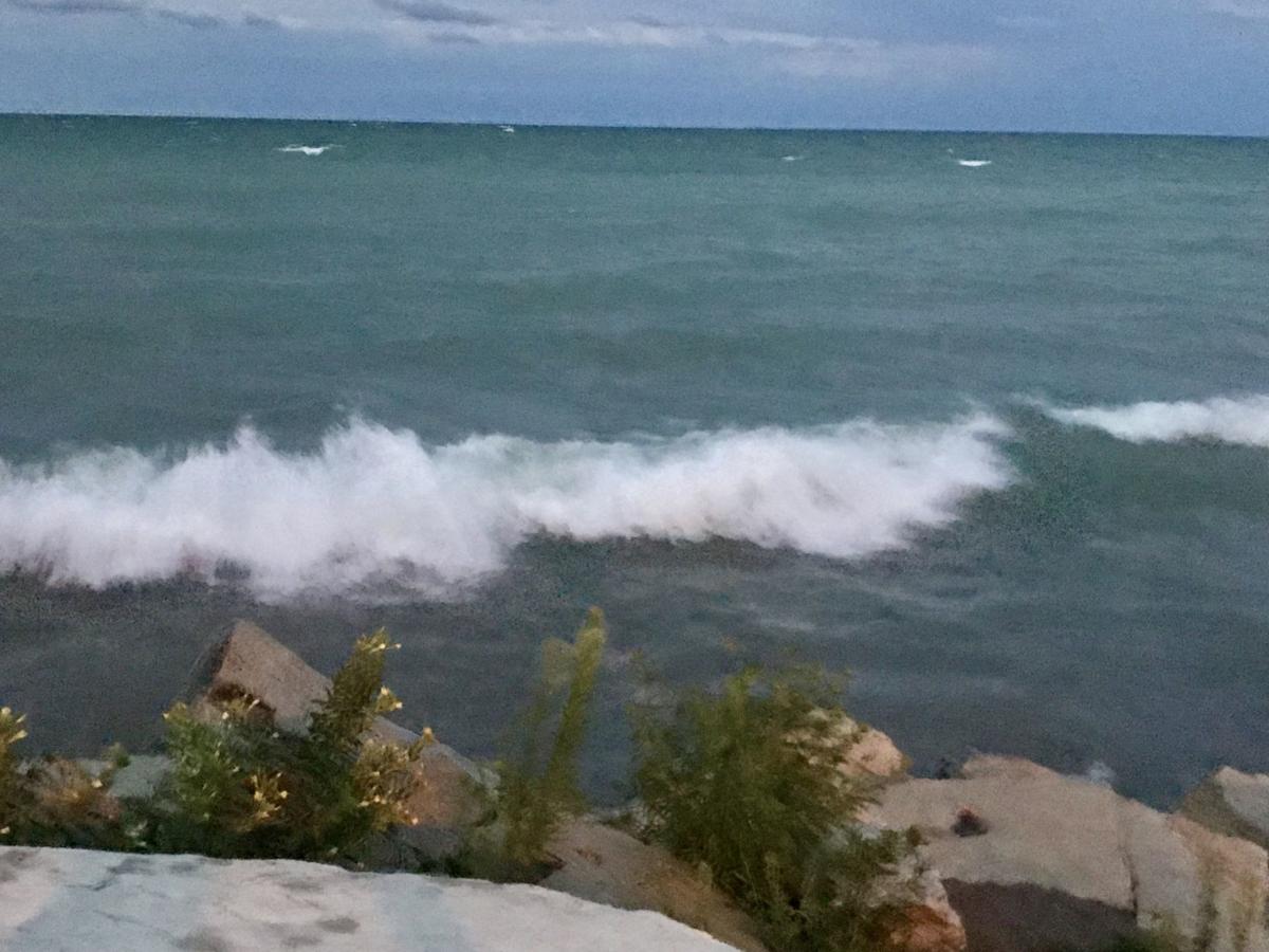 From Kennedy Park this evening