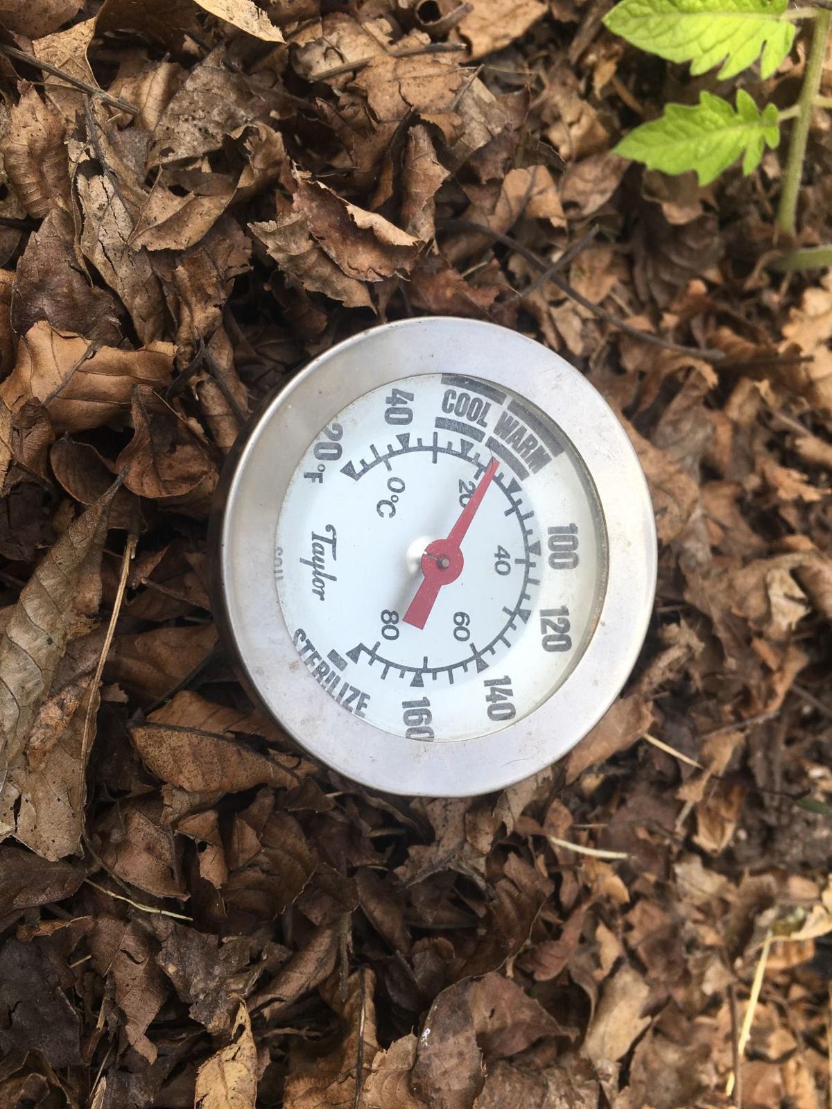 Kate Jerome Take Your Garden S Temperature For Successful