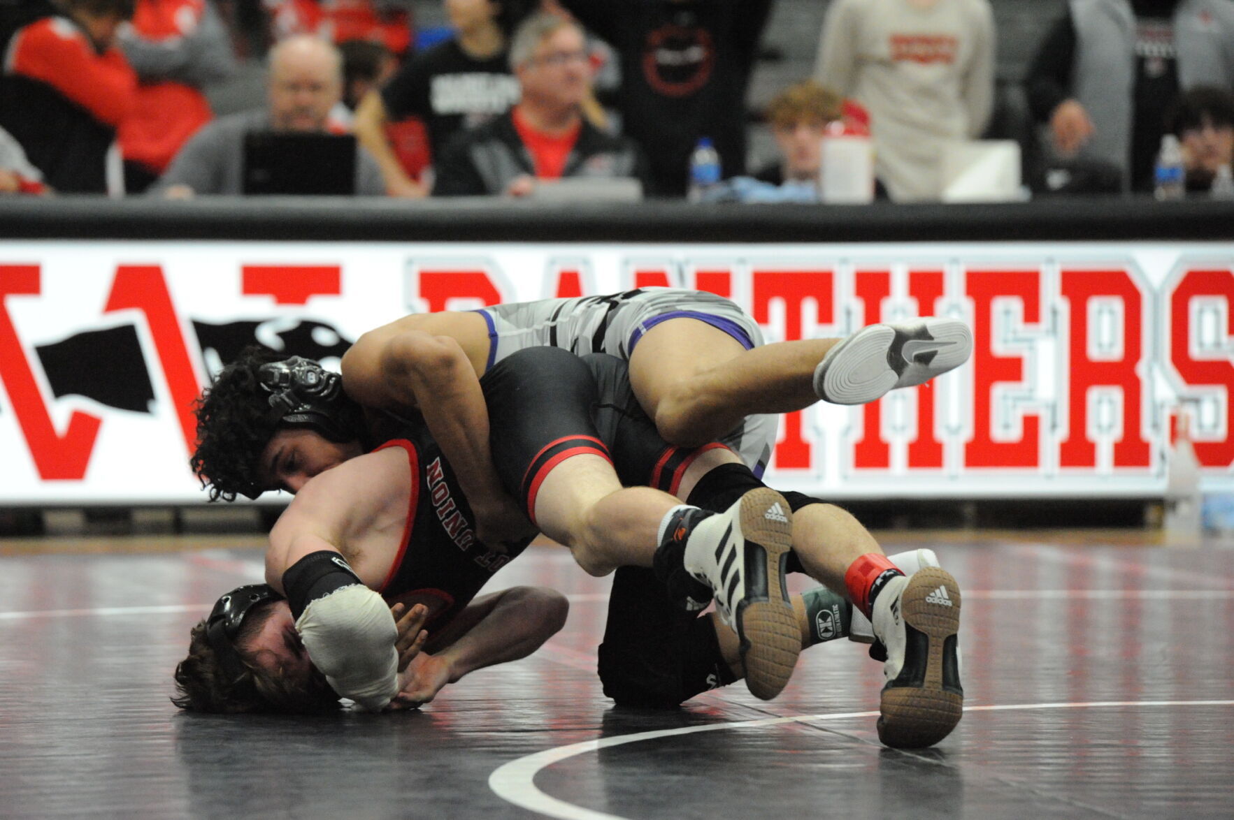 High school wrestling Indian Trail, Wilmot lead county contingent in D-1 regional