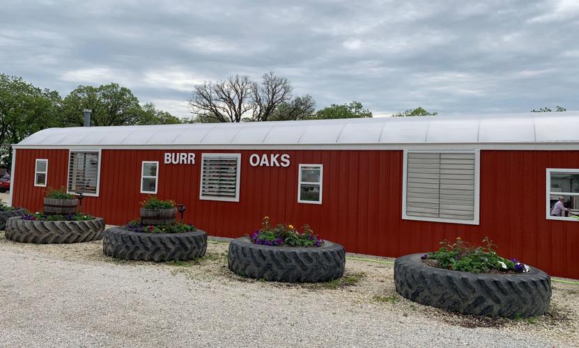 Marlene Birchell, coowner of Burr Oaks Greenhouse remembered