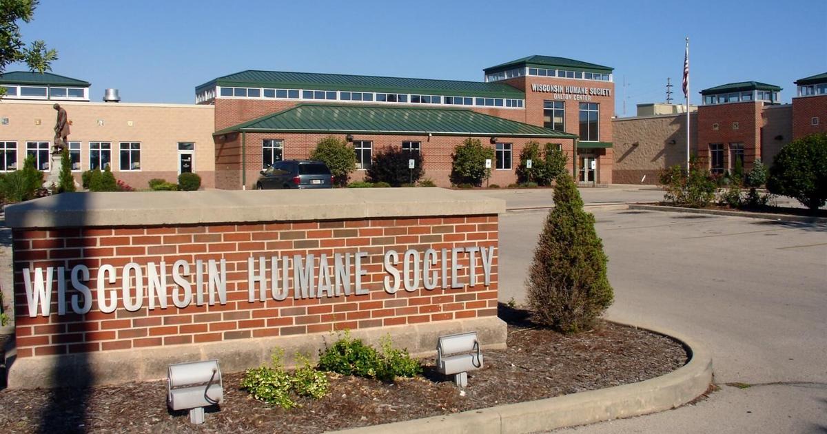 Safe Harbor Humane Society merges operations with Wisconsin Humane Society