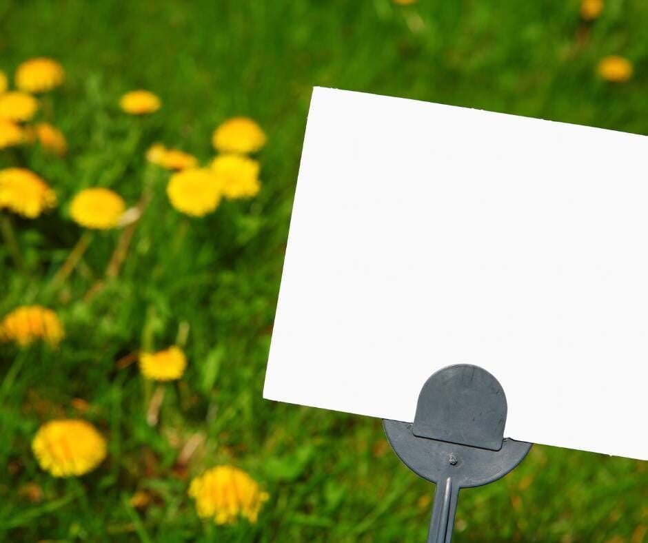 Permit Required for Signs and Displays in City’s Public Right-of-Way