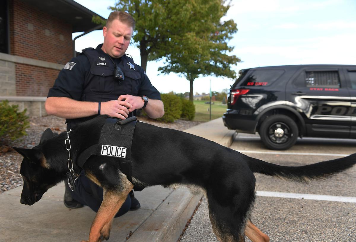 K9 unit