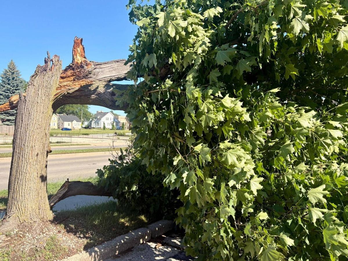 City to Provide Curbside Storm Debris Collection Following Severe Thunderstorms
