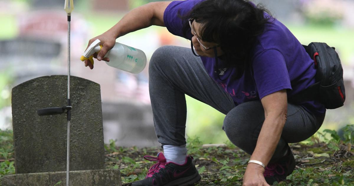 Cemetery Spring Clean Up Catholic cemeteries set plans, dates to begin spring cleanup