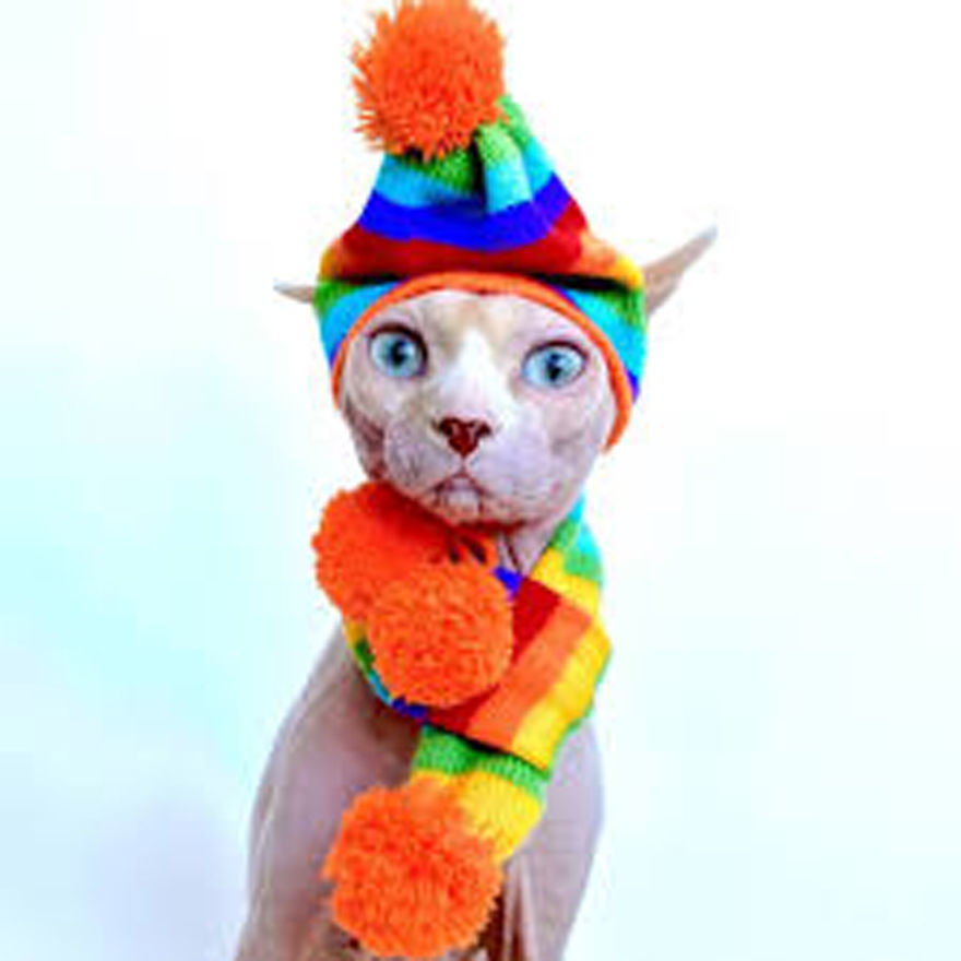 Snyder Hairless Hipsters switches from cat clothes to making masks