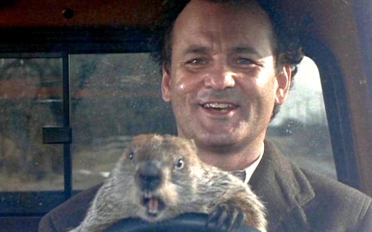 Celebrating Groundhog Day 2019 Events Kenoshanews Com