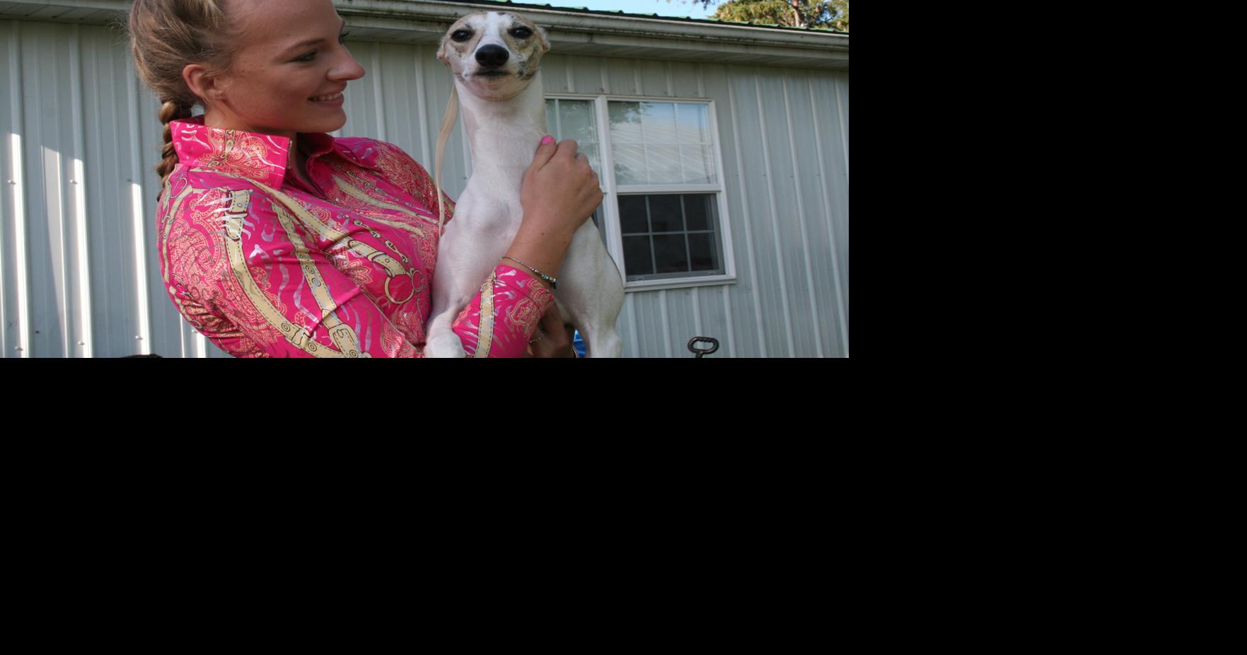 Dogs strut their stuff at annual show