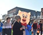 porky pig