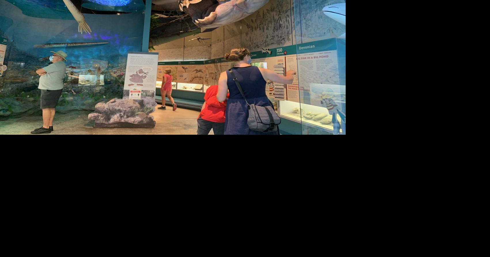 Kenosha museums reopen to visitors