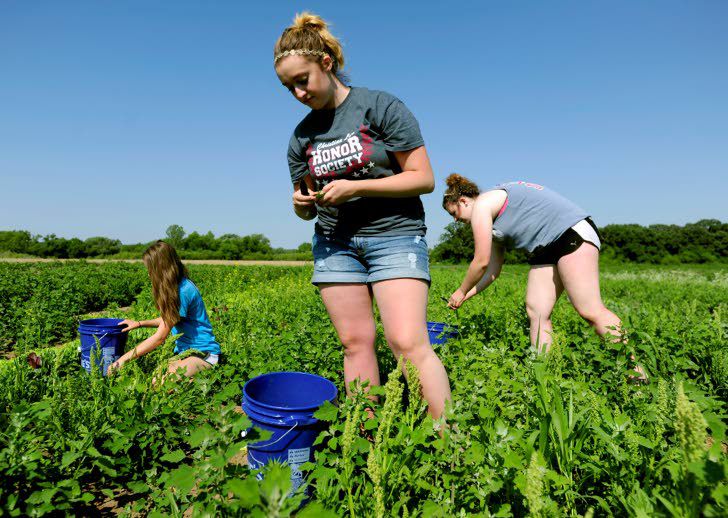 Share And Share Alike Living Hope Farm Is A Little Farm With A Big Heart Food Kenoshanews Com