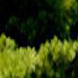 Kenosha County Parks Bristol Woods Park Home To Nature Center News Kenoshanews Com