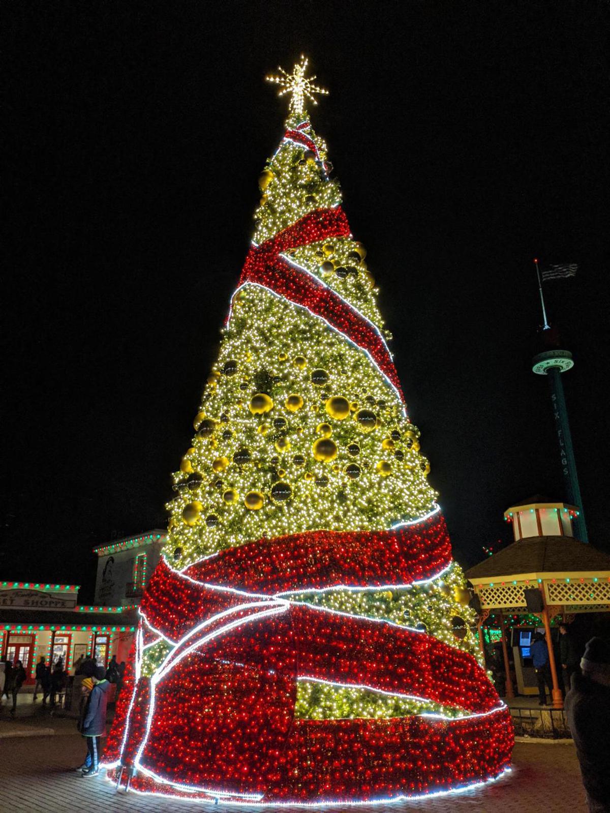 Holiday in the Park big tree.jpg