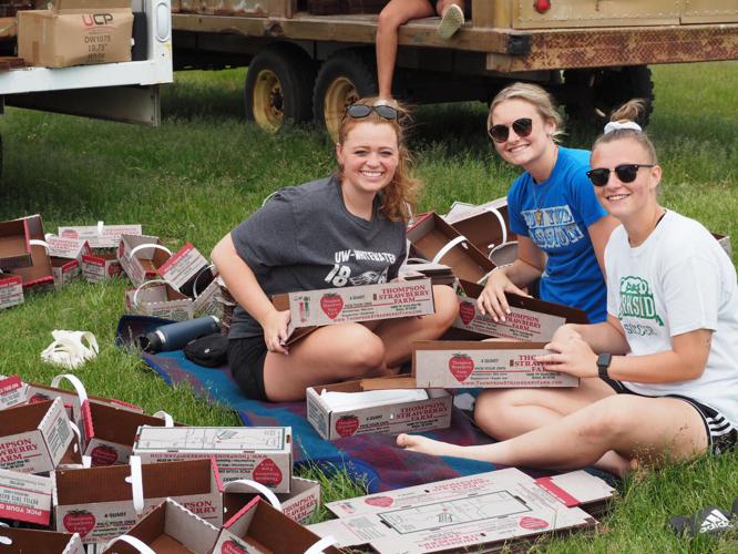 Thompson Strawberry Farm Prepares for Another Fruitful Season