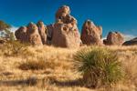 14. New Mexico