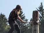 2021 Timberworks Lumberjack Show at Petrifying Springs Park