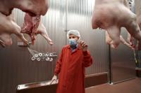 Meat Science and Animal Biologics Discovery