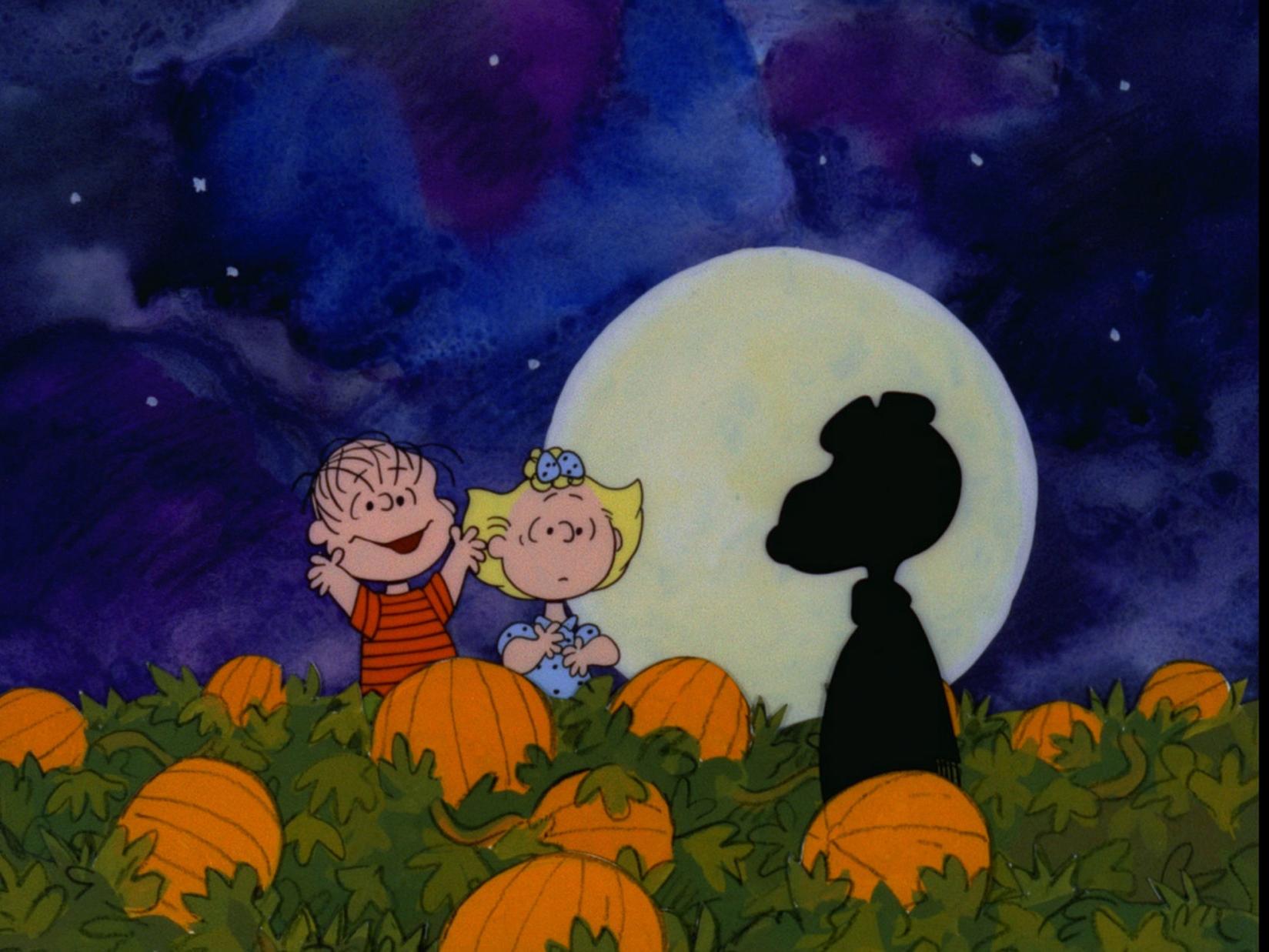 Liz Snyder Halloween Kenoshanews Com